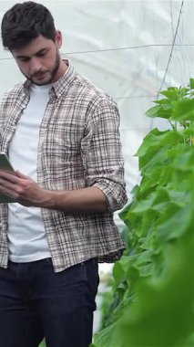 A dedicated young agronomist stands in a vibrant greenhouse, intently examining flourishing plants with a tablet in hand. This passionate farmer represents the innovative future of sustainable agriculture, ensuring the vitality of organic crops like