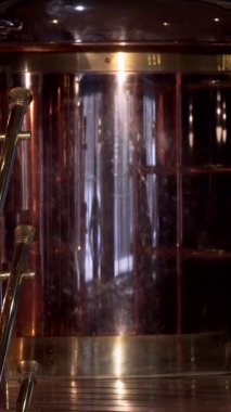 Havalı sakallı, ışıl ışıl profesyonel bir bira üreticisi, canlı bira fabrikasında neşe saçan iki bardak canlı bira tutuyor. Parlak bakır tanklar ve demleme ekipmanlarıyla çevrelenmiş, sanattaki tutku ve uzmanlığın özünü somutlaştırıyor.