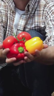 Neşeli genç bir adam canlı bir serada taze toplanmış kırmızı ve sarı biberlerden oluşan renkli bir çeşidi elinde tutarken gururla ışıldıyor. Bu canlı sahne organik çiftçiliğin ruhunu somutlaştırıyor, tutku ve bağlılığı vurguluyor.