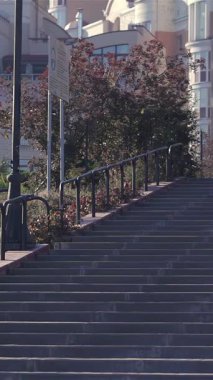 Odaklanmış bir erkek sporcu, sakin bir sonbahar gününde kararlılık ve canlılık saçan bir dizi şehir merdiveninden yukarı adım atar. Rengarenk yeşilliklerle bezenmiş canlı şehir manzarası dinamik bir zemin oluşturarak canlandırıcı çalışmalarını mükemmel bir şekilde tamamlıyor.