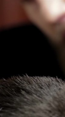 Canlı bir berber dükkanında, yetenekli bir berber titizlikle hazırlanmış sakallı, modaya uygun bir gencin saçını ustalıkla yapar. Sahne enerji ve entellektüellik yayıyor, erkek tımar sanatının sanatsal özelliklerini ve samimi bağlantılarını vurguluyor.