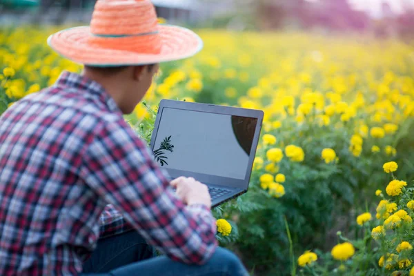 Genç Yakışıklı Bir Çiftçi Ile Bilgisayar Kullanarak Tarım Arazileri Üzerinde — Stok fotoğraf