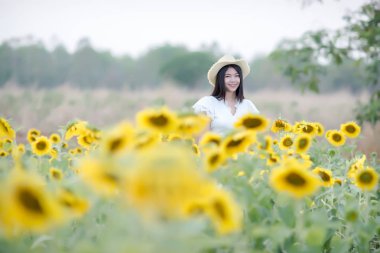 Güneş tarlasında yürüyen beyaz elbiseli güzel seksi kadın.