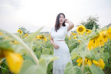 Güneş tarlasında yürüyen beyaz elbiseli güzel seksi kadın.