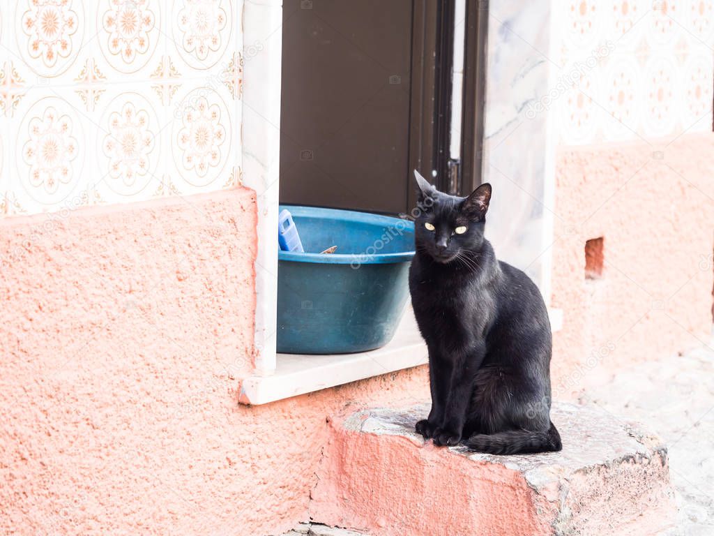Black cat sitting at the steps of one of the houses in the old town of Tavira, Algarve region, Portugal.