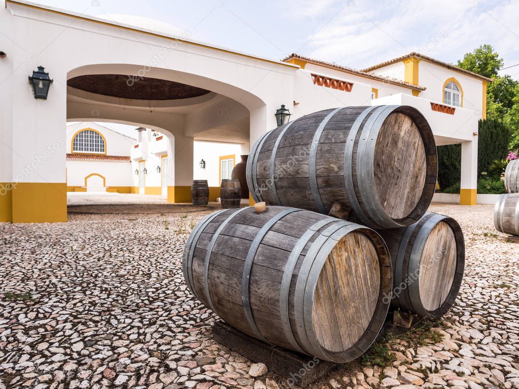 Wine barrels in Alentejo wine region, Portugal