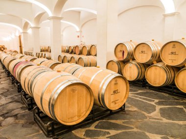 Estremoz, Portekiz - 21 Ağustos 2018: şarap varil Herdade das Servas şarap mahzeni Alentejo bölgesi, Portekiz 