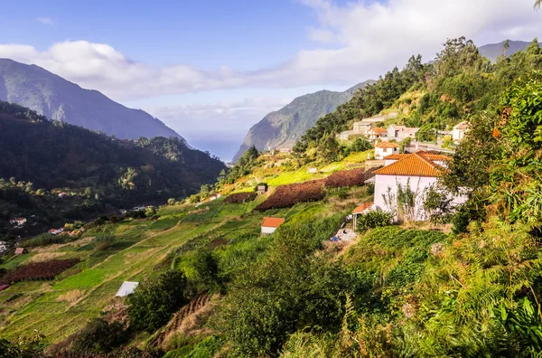 Blick Auf Den Norden Der Insel Madeira Portugal — Stockfoto