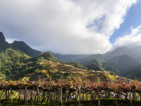 Γραφική Θέα Σπίτια Και Τοπίο Στο Νησί Madeira Πορτογαλία — Φωτογραφία Αρχείου