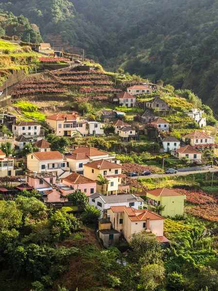Γραφική Θέα Σπίτια Και Τοπίο Στο Νησί Madeira Πορτογαλία — Φωτογραφία Αρχείου
