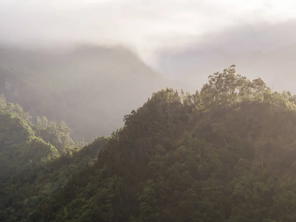 Malerischer Blick Auf Die Landschaft Der Insel Madeira Portugal — Stockfoto