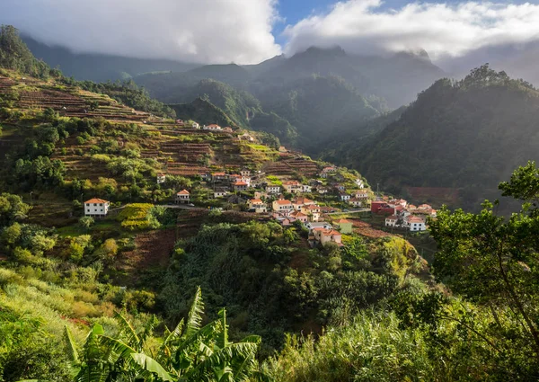 Vista Panorámica Las Casas Isla Madeira Portugal —  Fotos de Stock