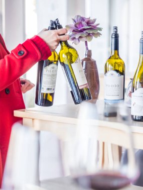 Setubal, Portekiz-Şubat 02, 2018: Setubal Wine Region, Portekiz 'deki quita do Piloto 'da şarap tadımı
