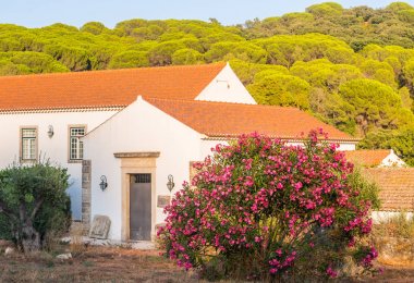 Setubal, Portekiz 25 Ağustos 2018: Winery Quinta de Alcube, Setubal region, Portekiz
