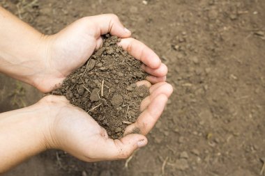 Dünya bırakarak elleri olan kadın 