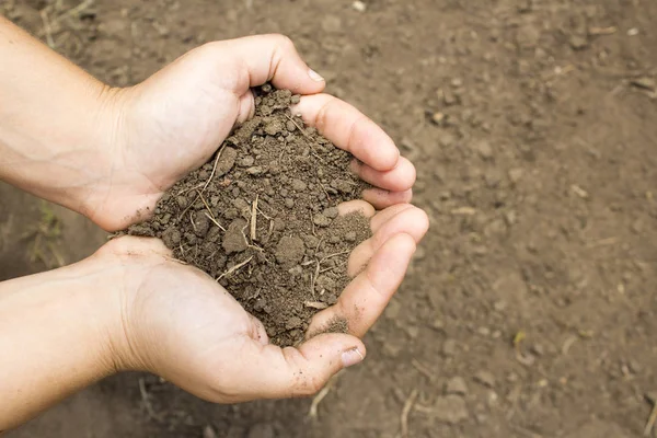 Dünya bırakarak elleri olan kadın 
