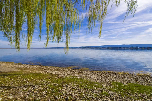 Konstanz Gölü Yaz Saati Mavi Gökyüzü Ile Tatilde — Stok fotoğraf