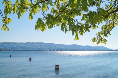 Tatil gölde Constance Summer