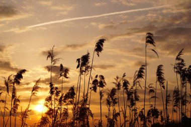 Yaz duygu günbatımı kırmızı bulutlar ile