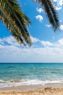 Palmiye ağaçları ile deniz ve kumsal güneşli mavi gökyüzü ile yaz tatili