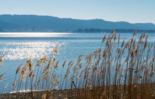 Frühling Bodensee Blauer Himmel — Stockfoto