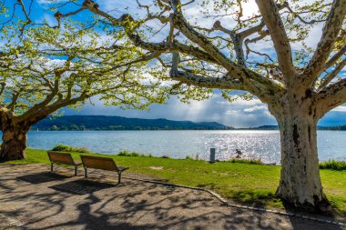 Güneş ile güzel Lake Constance Üzerinde Tatil Bahar 