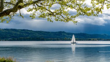 İlkbaharda Konstanz Gölü'nde yelkenli
