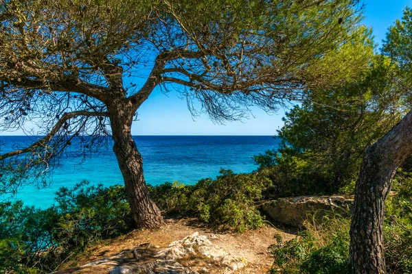 Summer Holidays Mallorca Spain Landscape Sea Views — Stock Photo, Image