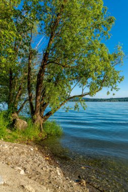 Güzel Konstanz Gölü'nde yaz aylarında tatil