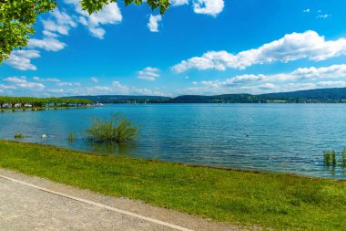 Yaz aylarında Konstanz Gölü göle bakan
