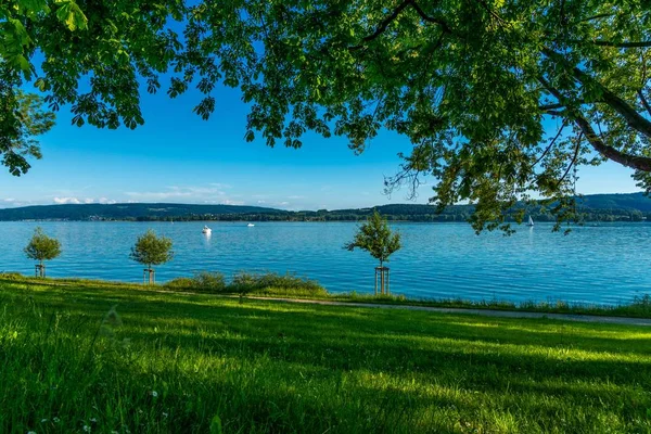 Radolfzell Nas Margens Lago Constança Verão Com Vista Para Lago — Fotografia de Stock