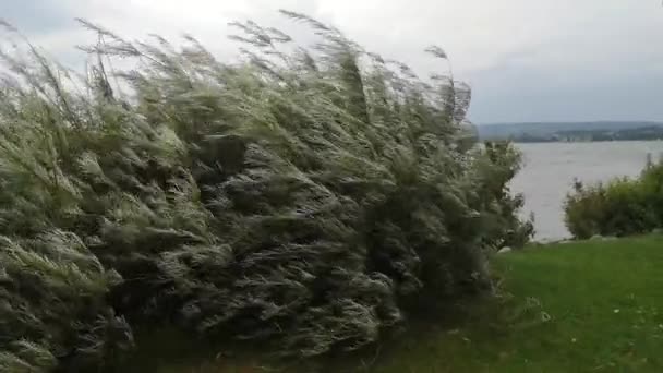 Slecht Weer Sterke Wind Aan Het Bodenmeer Duitsland — Stockvideo
