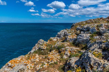 Kayalar ve çiçekler ile yaz aylarında panoramik deniz manzarası