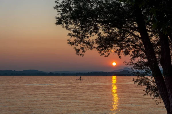 Pôr Sol Vermelho Lago Constança Com Árvore — Fotografia de Stock