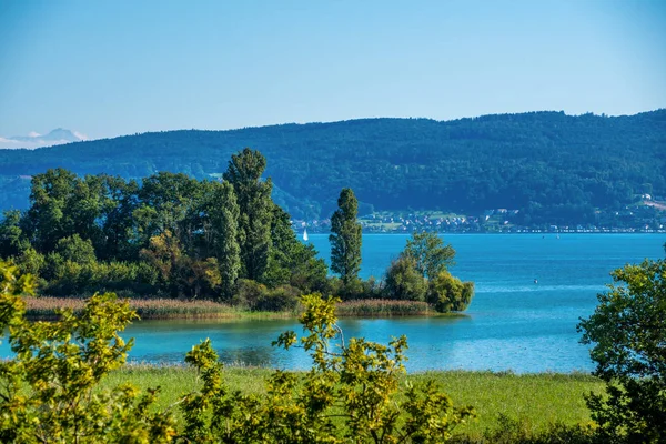 Halbinsel Mettnau Schönen Bodensee Sommer — Stockfoto