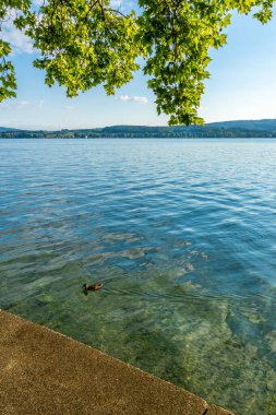 Constance Gölü 'nde yaz tatili