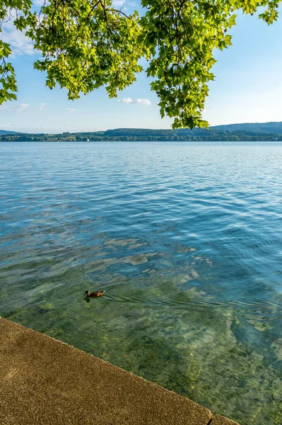 Sommerurlaub Bodensee — Stockfoto