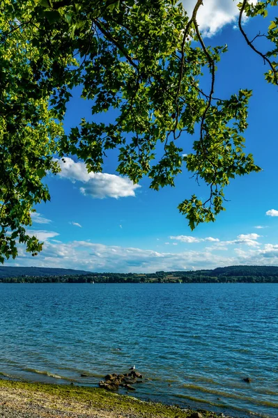 レイクコンスタンスのRadolfzell湖畔夏の終わり — ストック写真