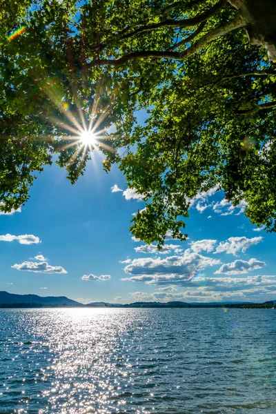 Urlaub Schönen Bodensee Radolfzell Mettnau Stockbild