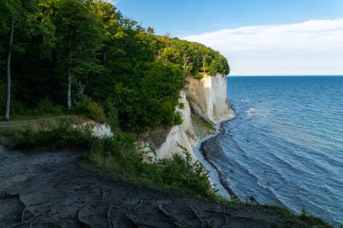 Jasmund Ulusal Parkı 'ndaki Baltık Denizi' ndeki tebeşir kayalıklarının panoramik görüntüsü