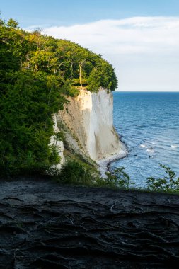 Jasmund Ulusal Parkı 'ndaki Baltık Denizi' ndeki tebeşir kayalıklarının panoramik görüntüsü