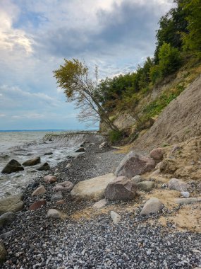 Tebeşir kayalıkları Sassnitz Ruegen Baltık Denizi Almanya