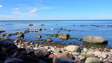Taşları ve mavi gökyüzü ile Baltık Sahili Almanya Ruegen Adası