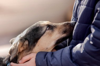 Adam sokak köpeğini okşuyor.