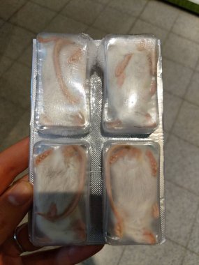 Yetişkin, beyaz, erkek, donmuş, ölü, evcil yılanlar ve sürüngenler için beslenen fareler..