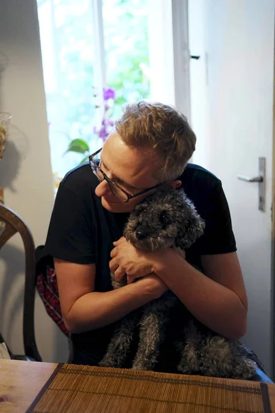 Gözlüklü Adam Sevimli Sevimli Gri Kaniş Köpeğini Oyuncak Ayı Yüzüyle — Stok fotoğraf