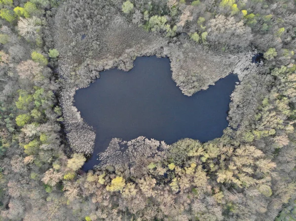 Aerial view of lake Fauler See, a naturally occurring body of water in the Berlin district of Pankow and is the eponym for the surrounding Volkspark and nature reserve.