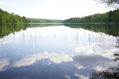 Peetschsee kristal berraklığında Stechlin koruma alanında, Brandenburg Almanya           