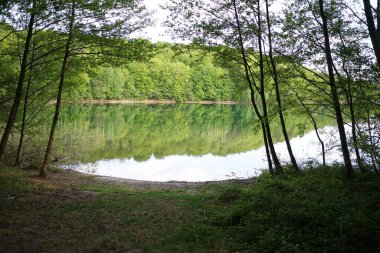 Peetschsee kristal berraklığında Stechlin koruma alanında, Brandenburg Almanya           