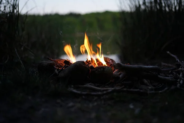 Bonfire at lake campsite  at dusk